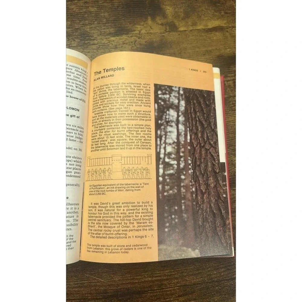 Eerdmans Handbook to the Bible 1973 First Edition Hardcover David Pat Alexander